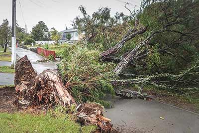 Medinz Supports primary care providers in major storm