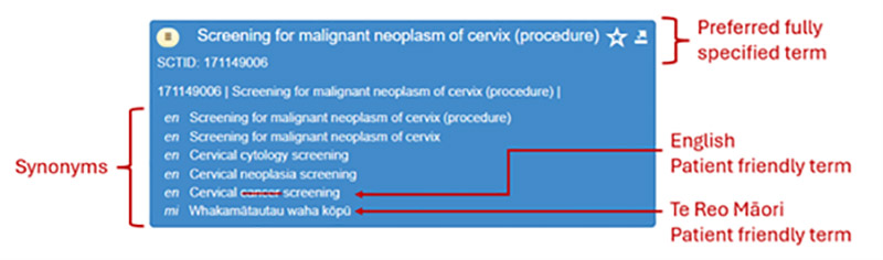 Healthpoint transforms healthcare delivery with SNOMED implementation